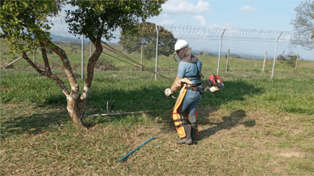 roceria